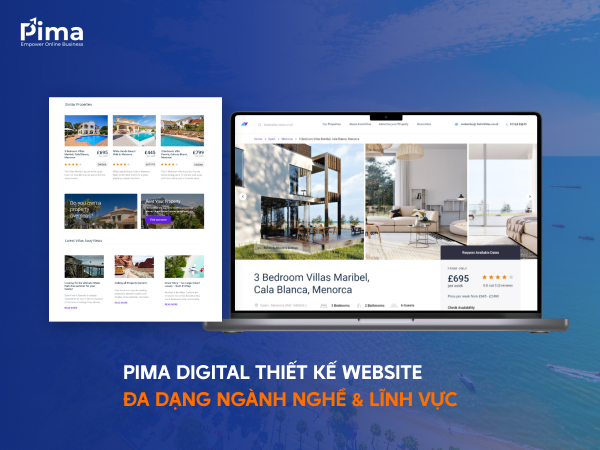 Đội ngũ Pima Digital hỗ trợ doanh nghiệp thiết kế website đa lĩnh vực