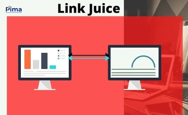 Thuật ngữ SEO Link Juice trong trang web